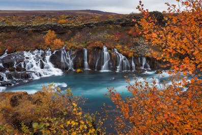 La cascade Hraunfossar est située à l'ouest de l'Islande et consiste en une longue série de petits ruisseaux.