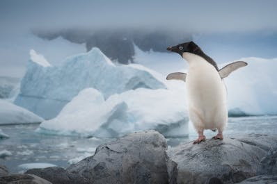 Antarctica Photography Expedition with Daniel Kordan - 2024 - day 1