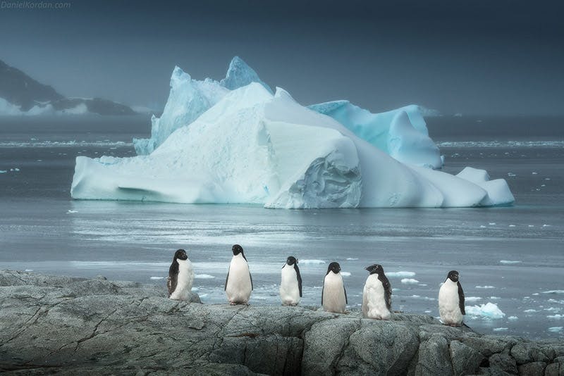 Antarctica Photography Expedition with Daniel Kordan - 2020 - day 2