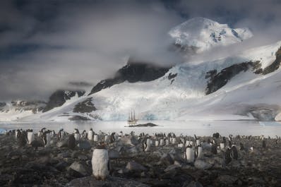 Antarctica Photography Expedition with Daniel Kordan - 2024 - day 10