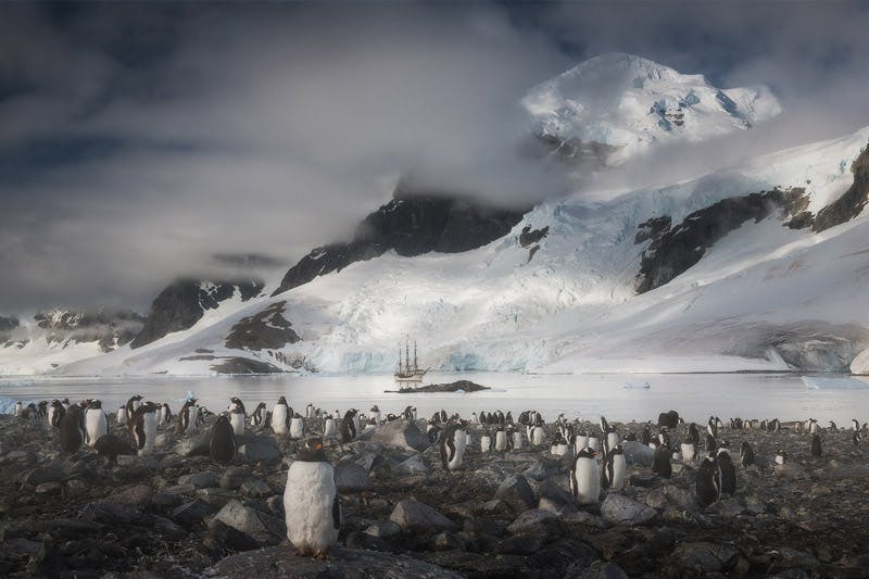 Antarctica Photography Expedition with Daniel Kordan - 2020 - day 12