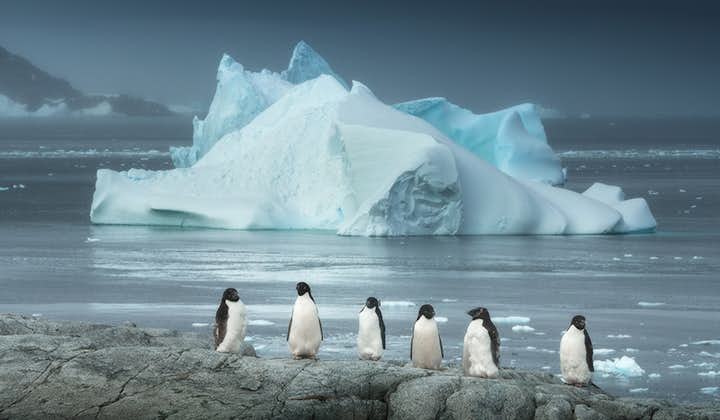 Antarctica Photography Expedition with Daniel Kordan - 2020