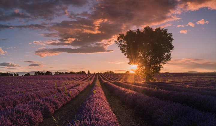 Provence Paradise | 6 Day Photo Tour in France