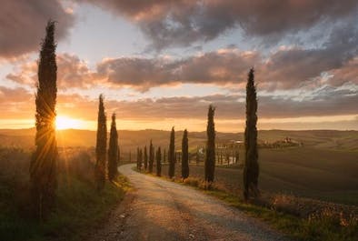 Tuscany Photography Tour - day 2