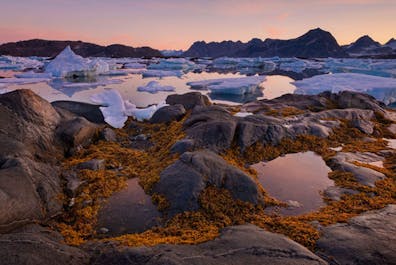 12 Day Greenland Photo Expedition - day 5