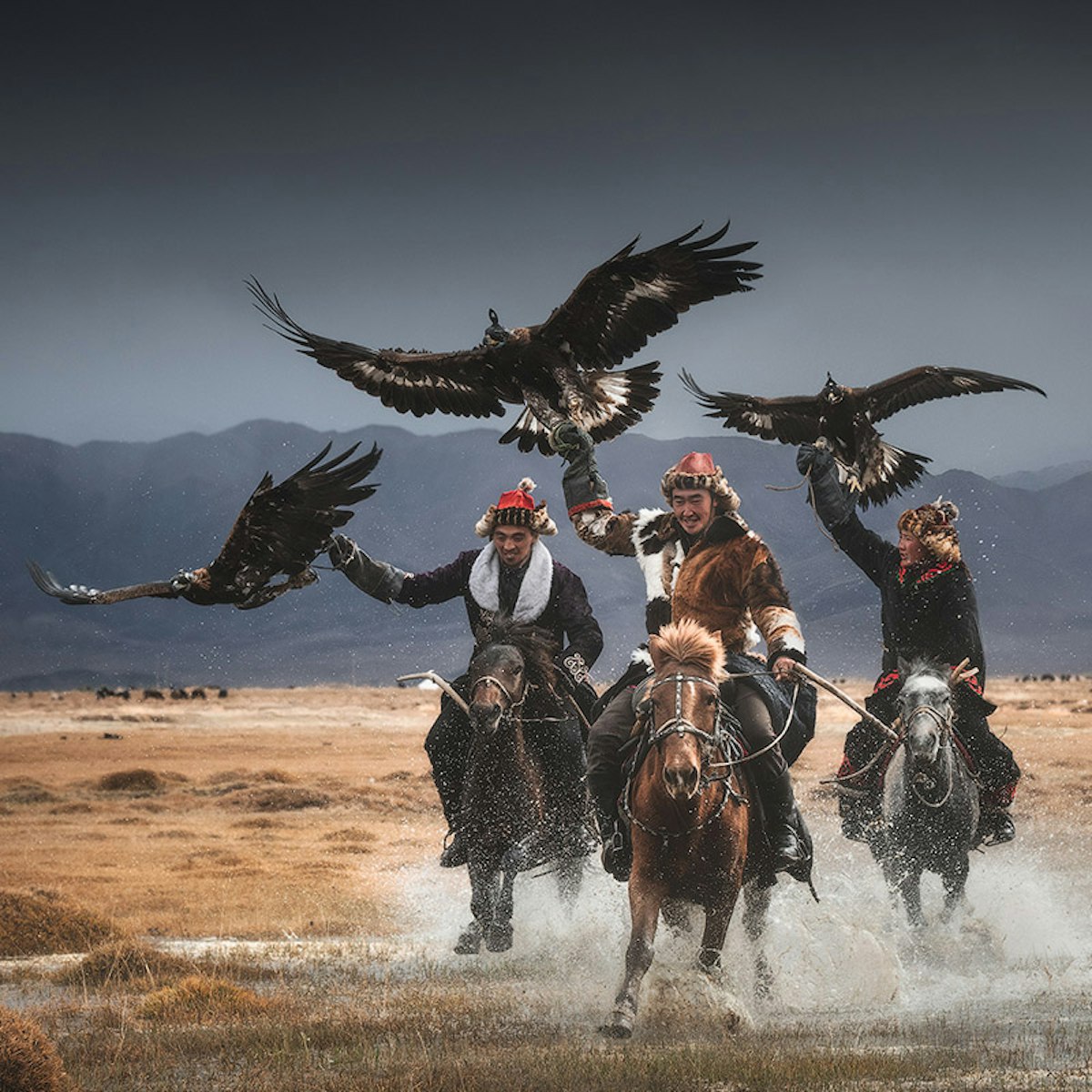 11 Day Mongolia Photography Tour | Iceland Photo Tours