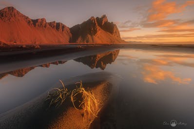 Mount Vestrahorn rises up over the Stokksnes peninsula, here you can see it reflected in the shiny black sands.