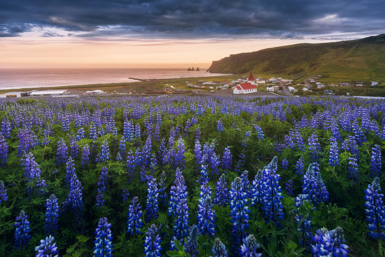 กิจกรรมถ่ายภาพช่วงฤดูร้อน 3 วันในชายฝั่งทางใต้ของประเทศไอซ์แลนด์