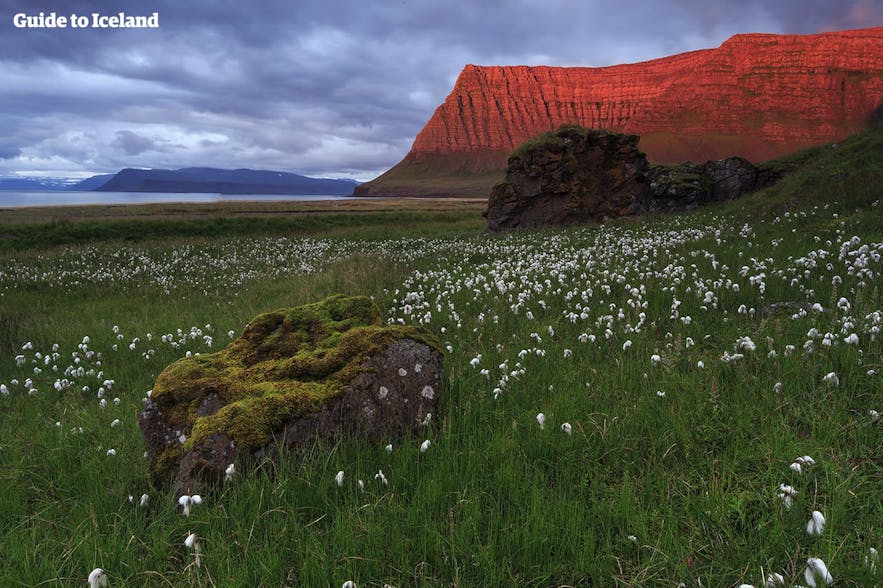Travel Photography Guide to the Westfjords of Iceland