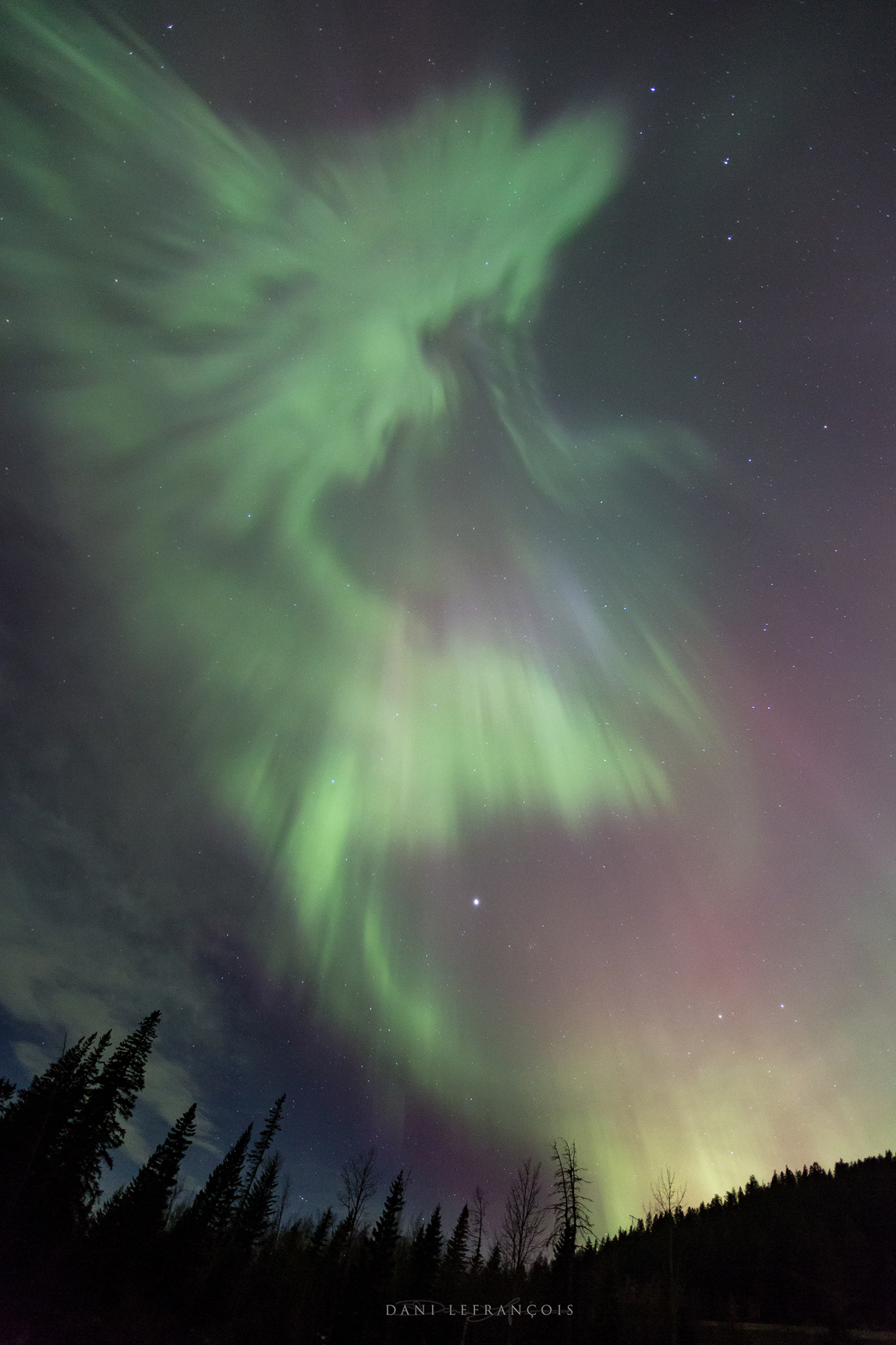 How To Photograph The Stunning Northern Lights Displays I