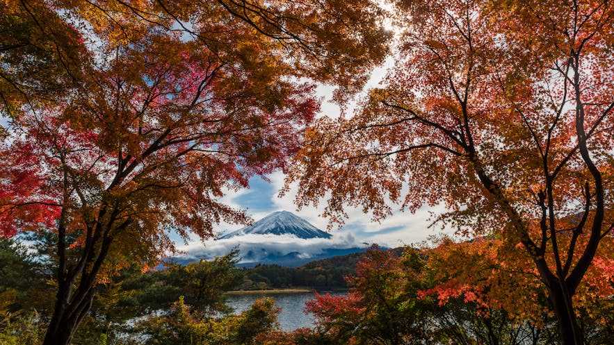 Mt Fuji - Photo by Marc Pelissier