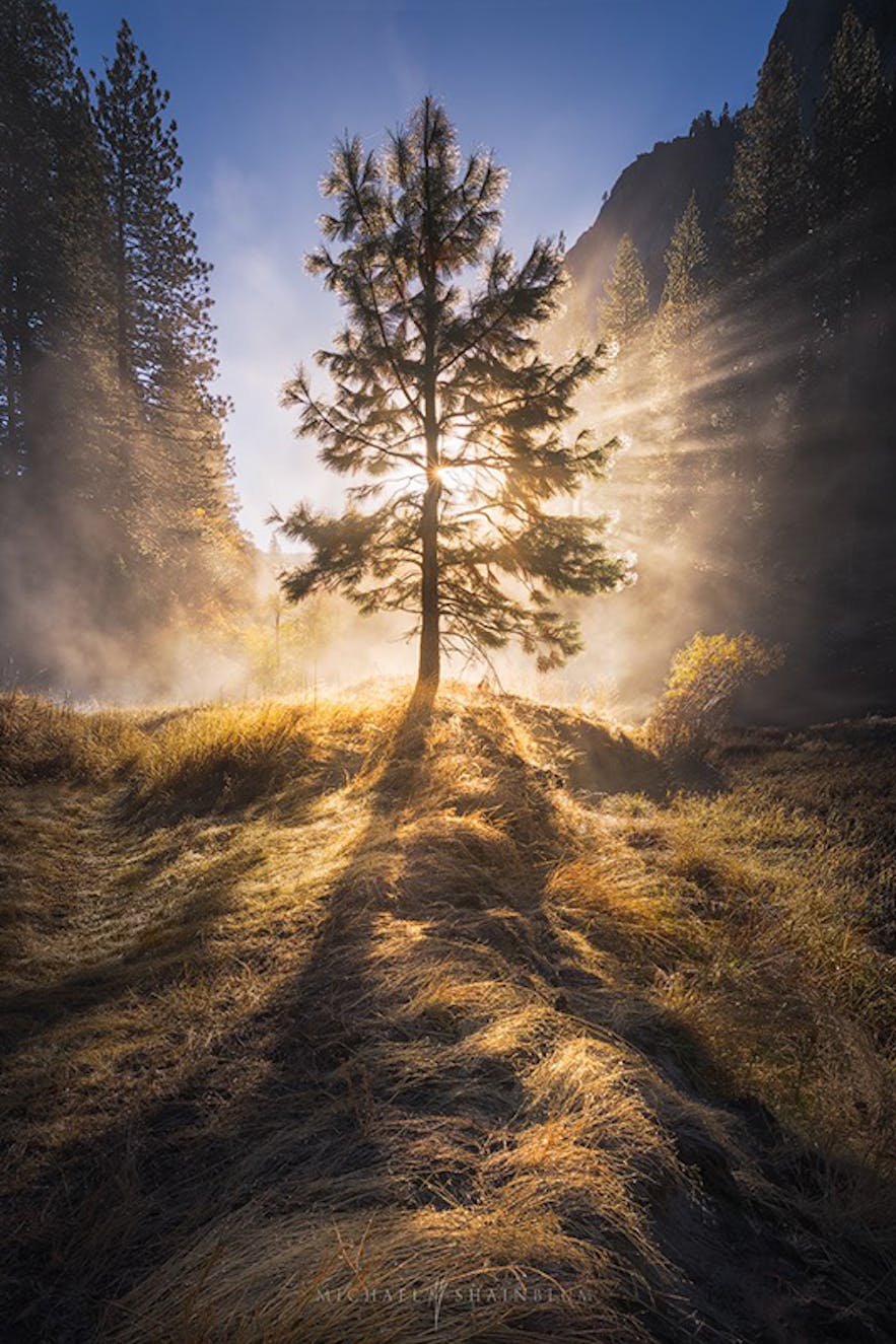 Rays of light. Photo by: 'Michael Shainblum'.