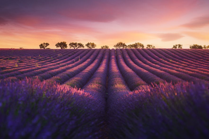 Provence in France. Photo by: 'Julien Grondin'.