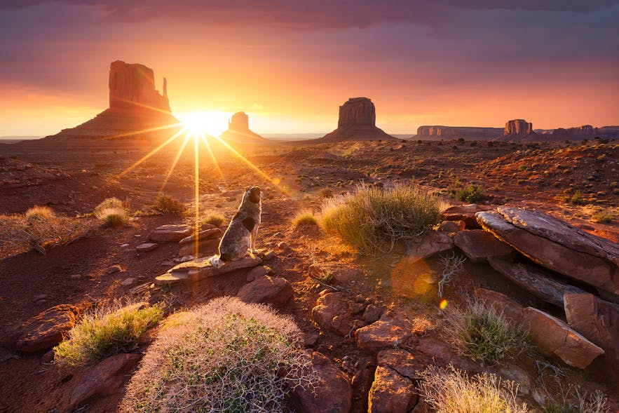 Monument Valley. Photo by: 'Julien Grondin'.