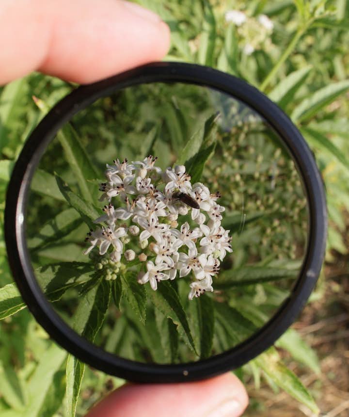 How to use a Polarizing Filter