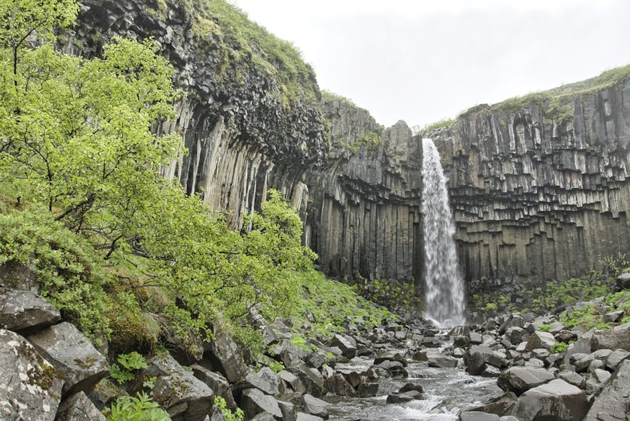Svartifoss waterfall and basalt columns