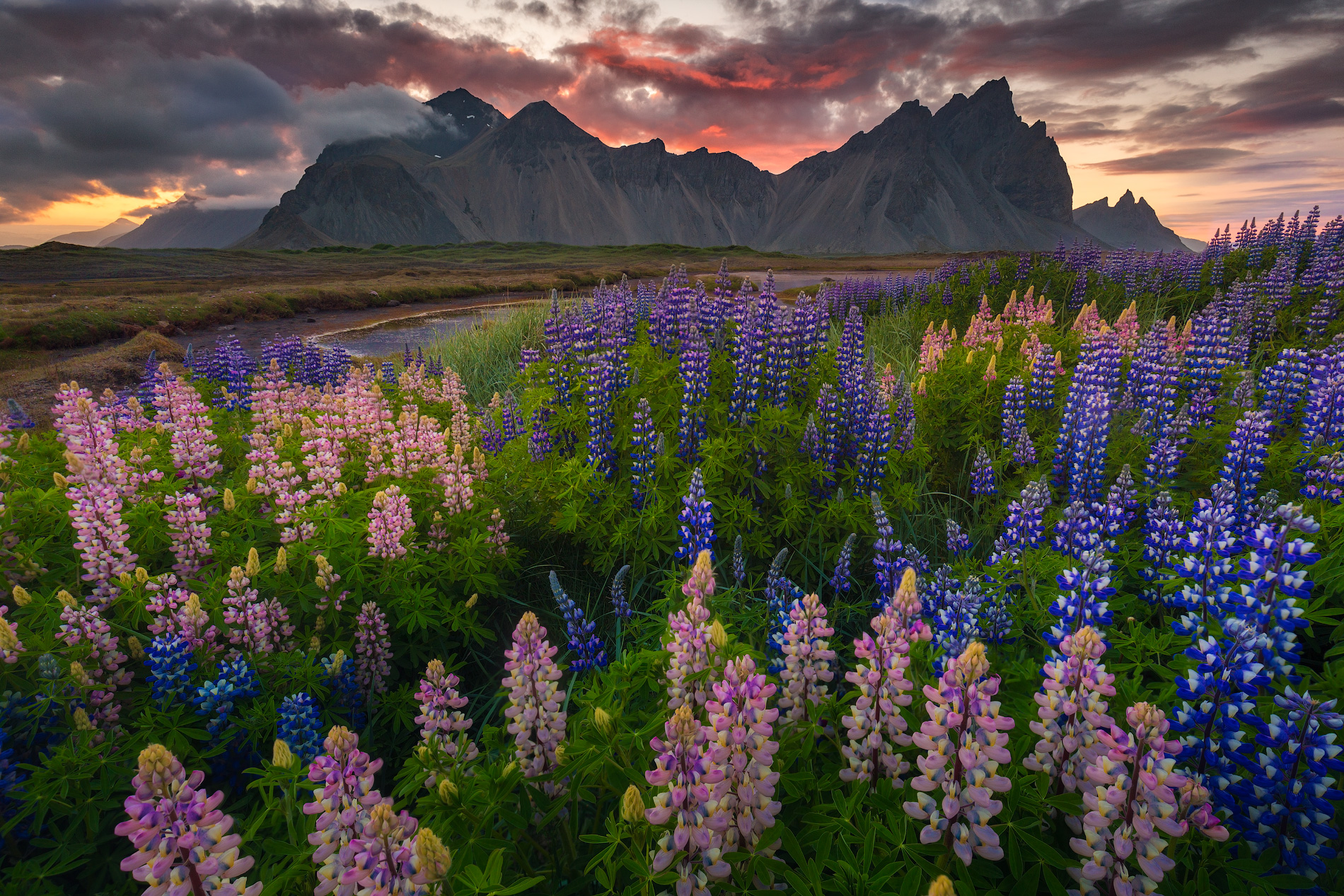 Summer Photography Tours & Workshops In Iceland | Iceland Photo Tours