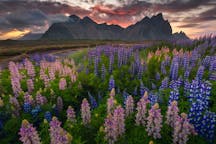 Summer Photo Tours in Iceland