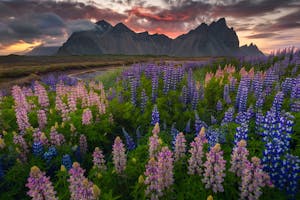 Summer Photography Tours & Workshops in Iceland