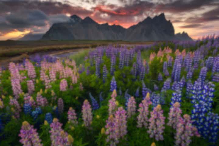 夏季写真ワークショップinアイスランド Iceland Photo Tours