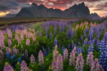 Summer Photo Tours in Iceland