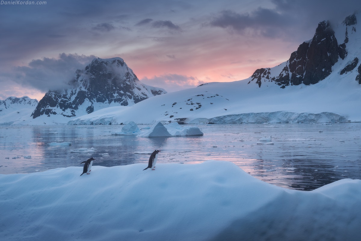 NEW 2023 Antarctica - Small group, luxury fly-sail photography