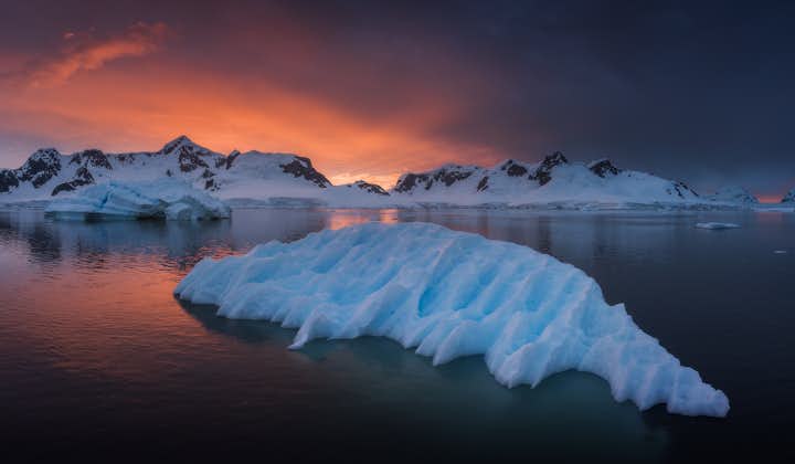 Antarctica Photography Expedition 2022 with Daniel Kordan and Iurie Belegurschi