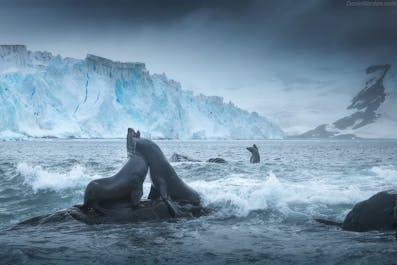 Antarctica Photography Expedition 2022 with Daniel Kordan and Iurie Belegurschi - day 2