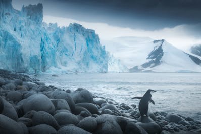 Antarctica Fly/Sail Photography Expedition 1-14 March 2024 with Daniel Kordan - day 5