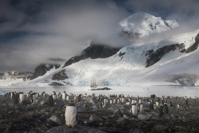 Antarctica Photography Expedition 2022 with Daniel Kordan and Iurie Belegurschi - day 11
