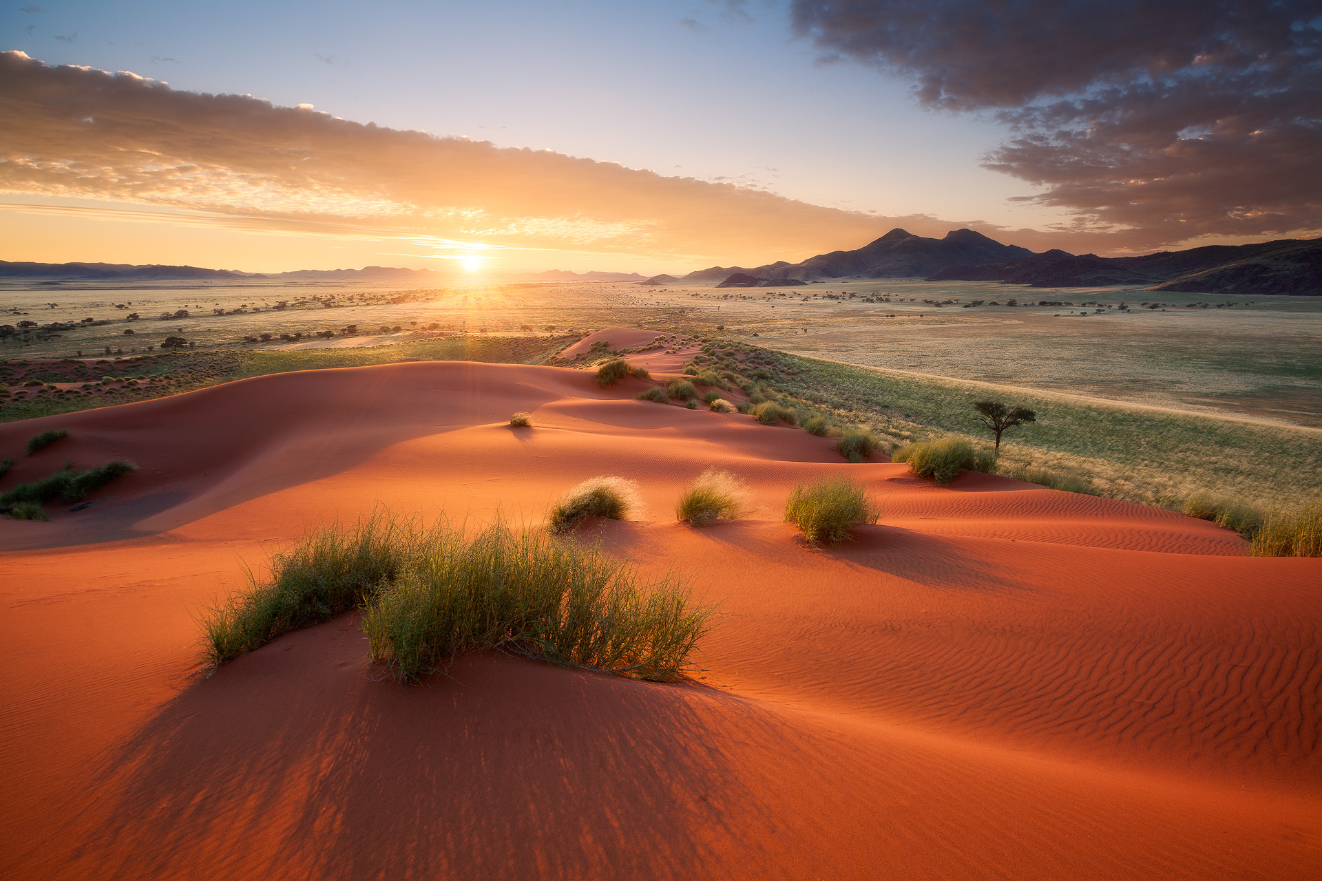 11 Day Namibia Photography Tour - day 1