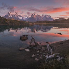 Patagonia Summer Photography Tour in Torres del Paine - day 5