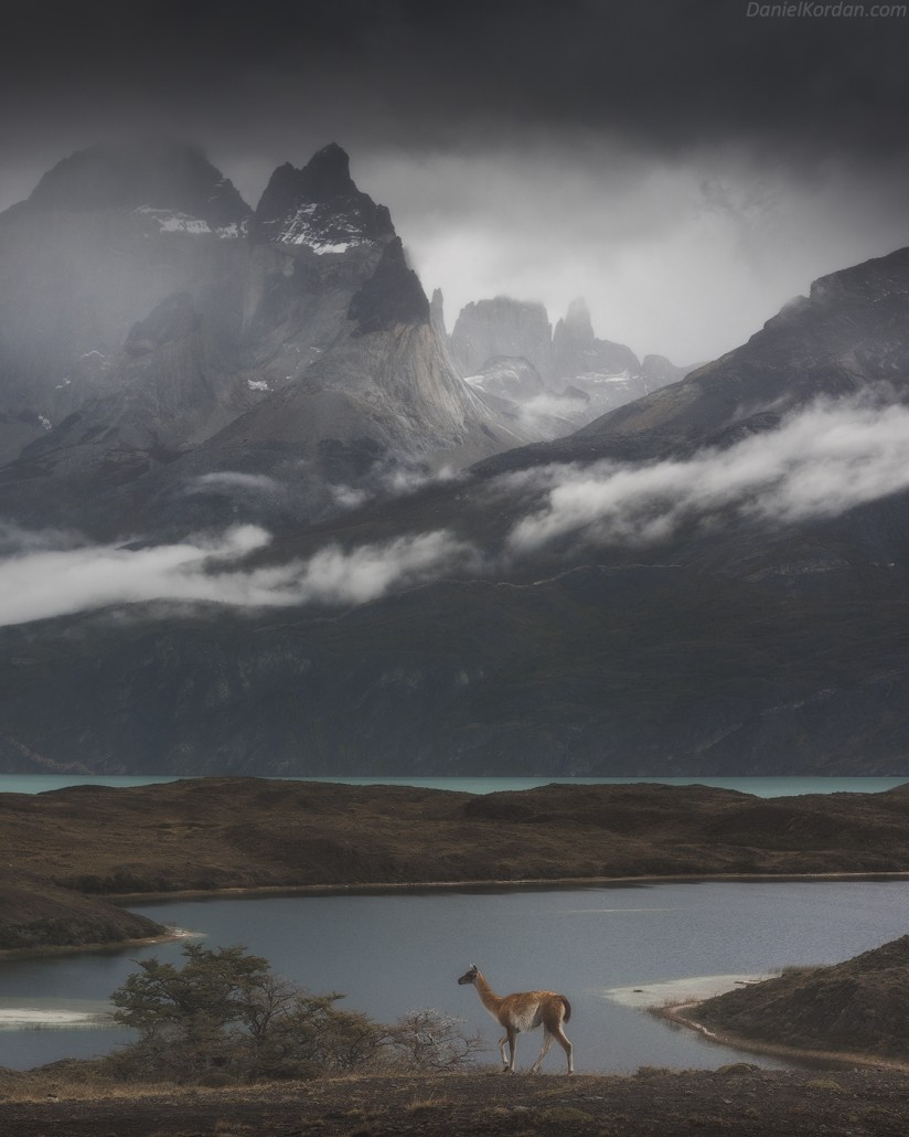 Patagonia Summer Photography Tour in Torres del Paine
