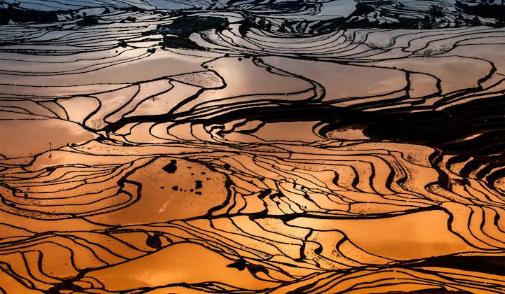 9 Day China Photography Tour | Yunnan Rice Terrace & The Red Land