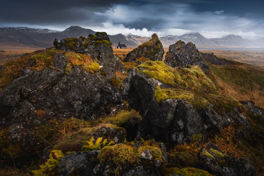 8 Tips for Photographing Fall Colours in Iceland