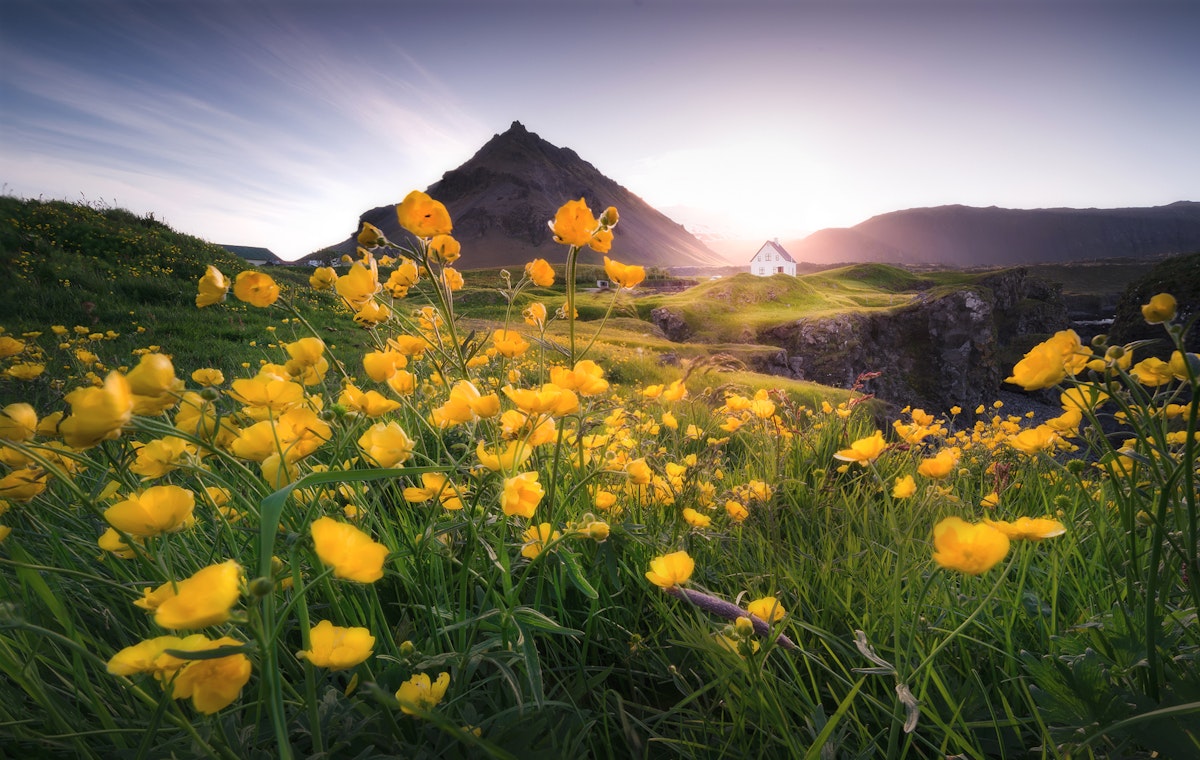 Why Iceland is the Perfect Place for Midnight Sun Photogr...