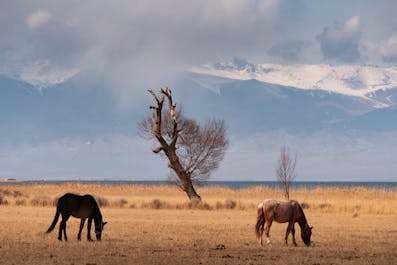 11 Day Kyrgyzstan Photography Tour - day 10