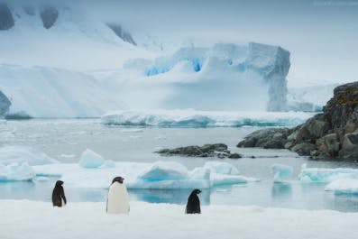 22 Day Antarctica Photography Expedition on Bark Europa - day 20