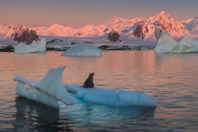 22 Day Antarctica Photography Expedition on Bark Europa - day 22