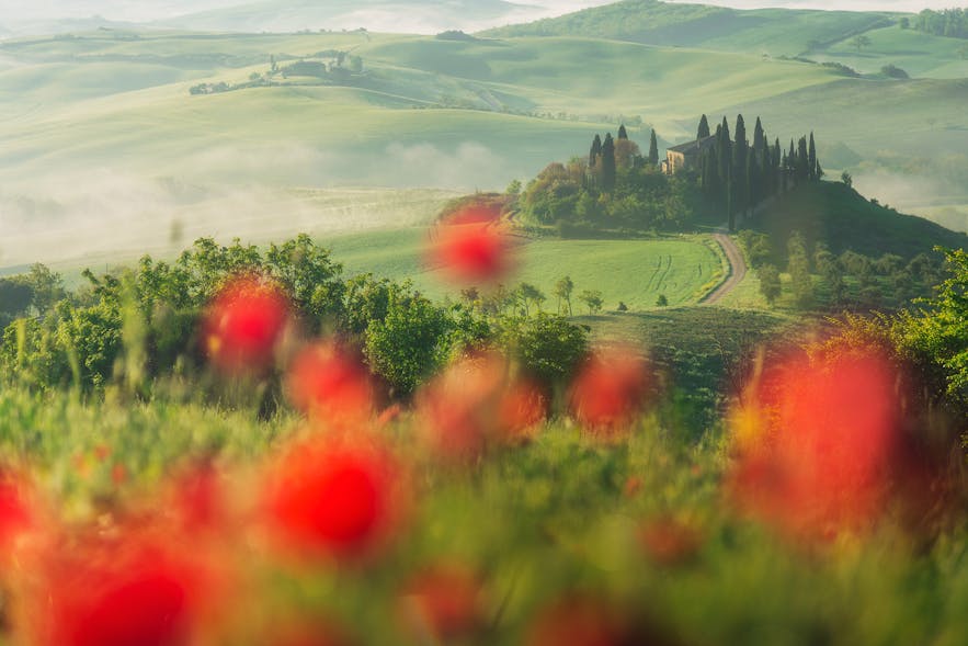 Ultimate Photography Guide to Tuscany