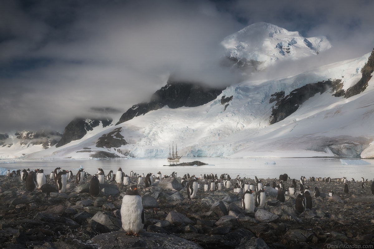 The Ultimate Guide to Photographing Penguins in Antarctic...