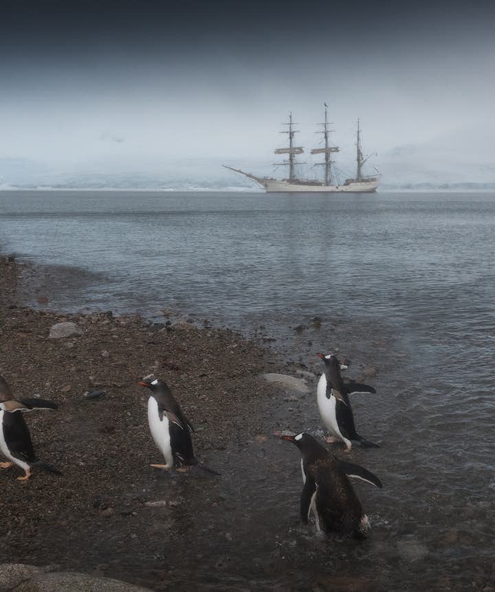 Post-producton techniques can help your refine pictures of the wildlife of Antarctica.