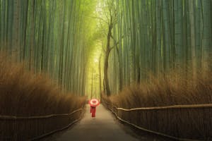Japan Photography Tours & Workshops