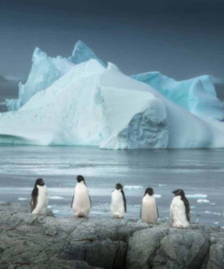 Antarctica Photography Tours & Workshops
