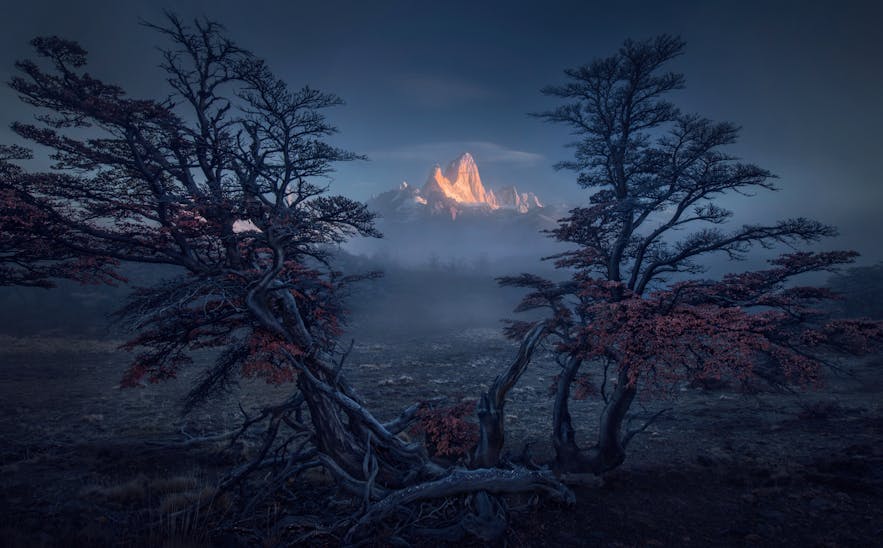 Interview with Max Rive