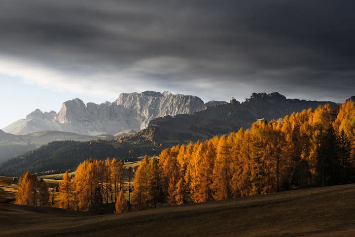 fraktion Forstærker sektor Ultimate Photography Guide to the Dolomites in Italy | Ic...