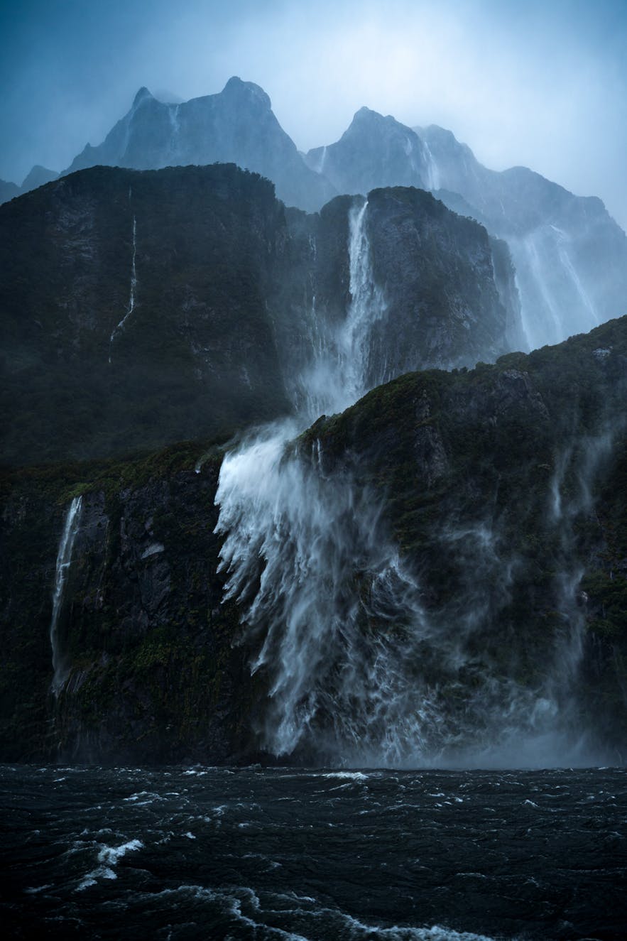 Interview with William Patino