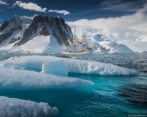 The Ultimate Guide to Cruises to Antarctica