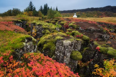 Atelier photo automne de 5 jours en Islande - day 5
