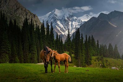 12 Day Kyrgyzstan Photo Tour | Mountains, Lakes & Canyons - day 5